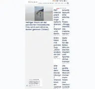 Kleine Seitenvorschau von polenjournal.de