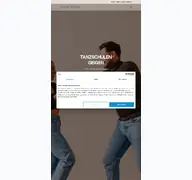 Kleine Seitenvorschau von tanzschulen-geiger.de