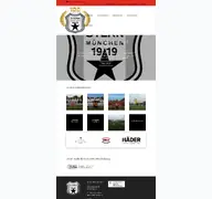 Kleine Seitenvorschau von fussball.fcstern.de