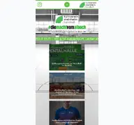 Kleine Seitenvorschau von handball-steinheim.de
