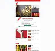 Kleine Seitenvorschau von happy-blood.de