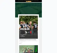 Kleine Seitenvorschau von fsv-helden.de