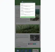 Kleine Seitenvorschau von tauchbasis-ruhlesee.de