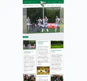 Kleine Seitenvorschau von tanne-fussball.de