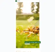 Kleine Seitenvorschau von avc-gartenservice.de