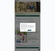 Kleine Seitenvorschau von dkv.com