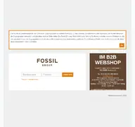 Kleine Seitenvorschau von b2b.fossil.de