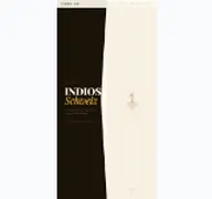Kleine Seitenvorschau von indios.ch