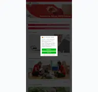 Kleine Seitenvorschau von awo-nbovp.de
