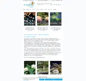 Kleine Seitenvorschau von teichmann-shop.de
