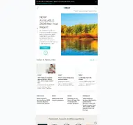 Kleine Seitenvorschau von alliant.com