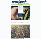 Kleine Seitenvorschau von praxisnah.de