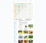 Kleine Seitenvorschau von insects.ch
