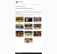 Kleine Seitenvorschau von tvgeldern.de