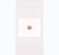 Kleine Seitenvorschau von sternlaschmeckt.de