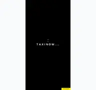 Kleine Seitenvorschau von taxinow.de