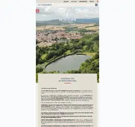 Kleine Seitenvorschau von waldalgesheim.de