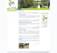 Kleine Seitenvorschau von ringgleis.de