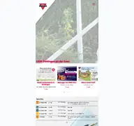 Kleine Seitenvorschau von cvjm-dettingen.de