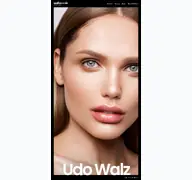 Kleine Seitenvorschau von udowalz.de