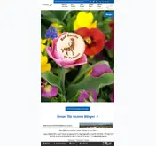 Kleine Seitenvorschau von bad-buchau.de