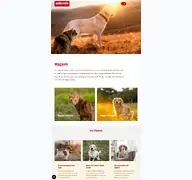 Kleine Seitenvorschau von magazin.animonda.de
