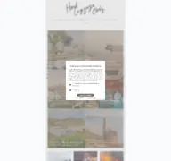 Kleine Seitenvorschau von handluggageonly.co.uk