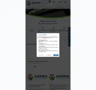 Kleine Seitenvorschau von solms.de