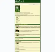 Kleine Seitenvorschau von baerlauch.die-heilpflanze.de