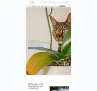 Kleine Seitenvorschau von tierarztpraxis-gutlichtenberg.de