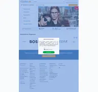 Kleine Seitenvorschau von eoptiker.de