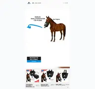 Kleine Seitenvorschau von equinoair.de
