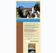 Kleine Seitenvorschau von tiergestuetzte-weiterbildung.de