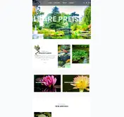 Kleine Seitenvorschau von water-gardens.de