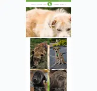 Kleine Seitenvorschau von tierhilfe-lebenswert.de
