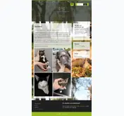 Kleine Seitenvorschau von tierhilfe-wolfsburg.de