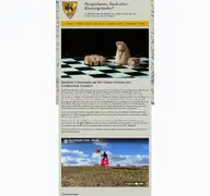 Kleine Seitenvorschau von greifenstein-projekt.de