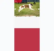 Kleine Seitenvorschau von tierschutzverein-minden.de