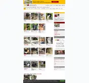 Kleine Seitenvorschau von tierschutzverein-weil.de
