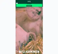 Kleine Seitenvorschau von tierwohl-lupe.de