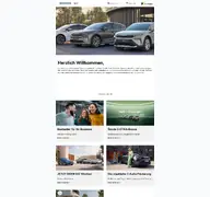 Kleine Seitenvorschau von tietjen-buxtehude.skoda-auto.de
