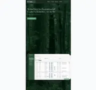 Kleine Seitenvorschau von timberdata.de