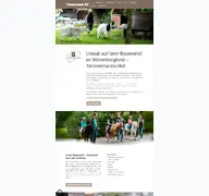 Kleine Seitenvorschau von timmermanns-hof.de