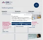 Kleine Seitenvorschau von jobs.gmsh.de