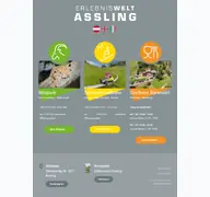 Kleine Seitenvorschau von erlebniswelt-assling.at