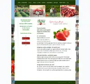 Kleine Seitenvorschau von hof-loescher.de