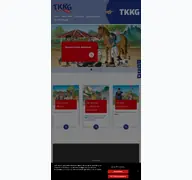 Kleine Seitenvorschau von tkkg-junior.de