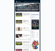 Kleine Seitenvorschau von diefalsche9.de
