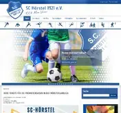Kleine Seitenvorschau von sc-hoerstel.de