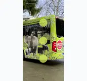 Kleine Seitenvorschau von wppt.de